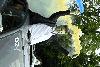 dsc_2196_t1.jpg