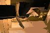 dsc_3730_t1.jpg