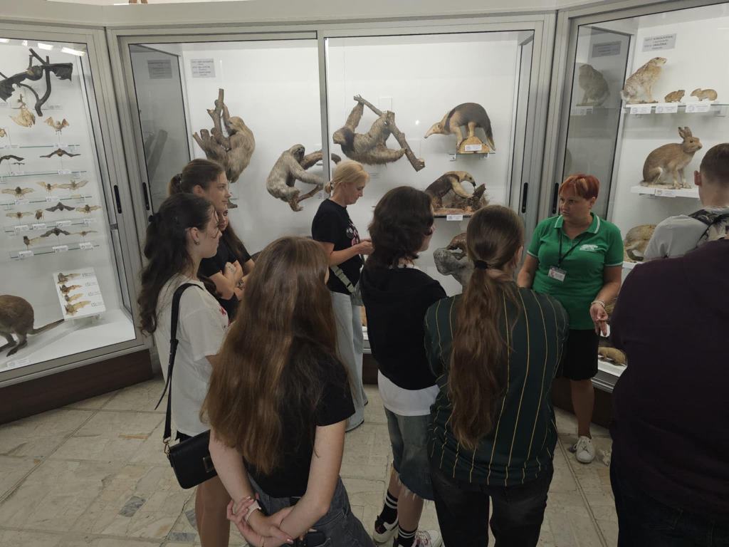 Click on image to close window